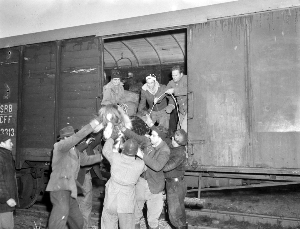Circus Unie, Bestanddeelnr 901-9707