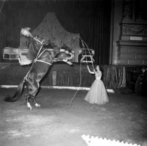 Circus Strassburger in Amsterdam, Bestanddeelnr 906-2115
