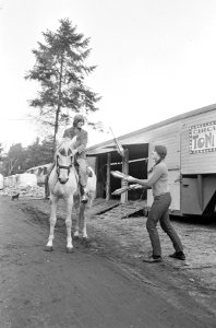 Circus Toni Boltini in winterverblijf, Bestanddeelnr 920-0313