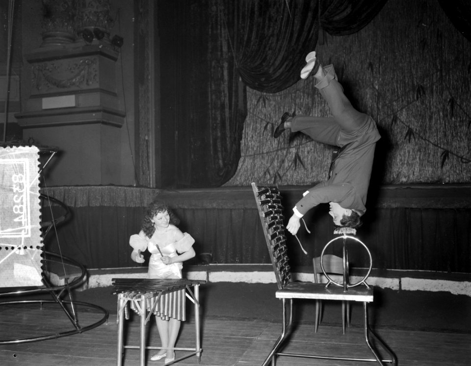 Circusplaatjes Carre, Bestanddeelnr 908-3284