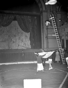 Circusplaatjes Carre, Bestanddeelnr 908-3283