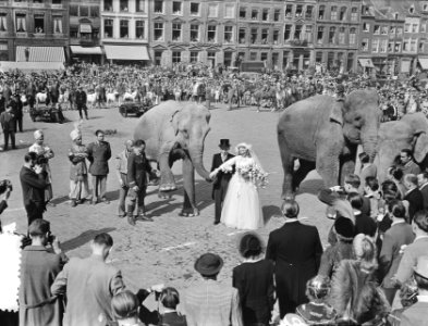 Circus-huwelijk te Maastricht, José Mullens werd de vrouw van Henry Strassburger, Bestanddeelnr 905-0561