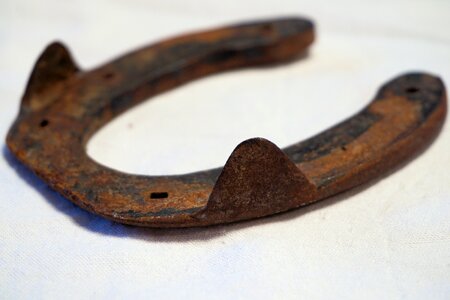 Iron rusty horse