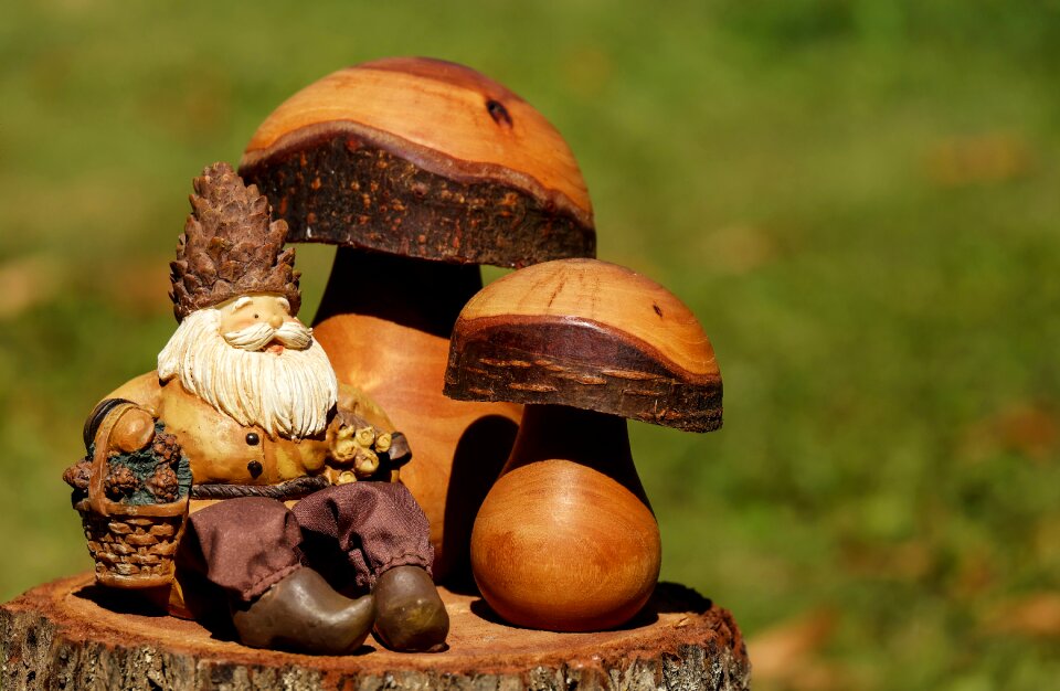 Cute mushrooms forest