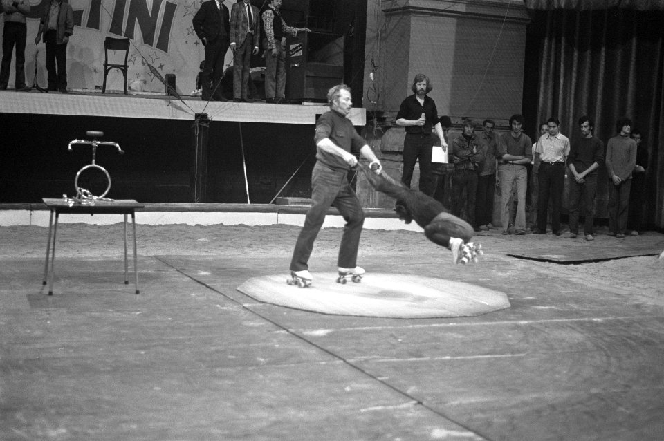 Circusartiest (rolschaatser) tijdens optreden met een circusaap, Bestanddeelnr 925-7165