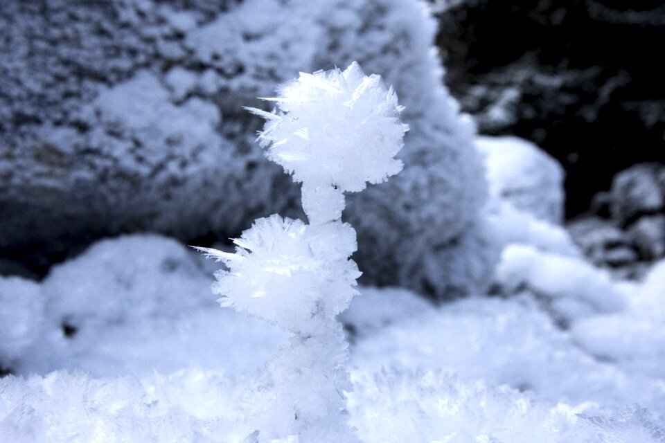 Frost ice crystals