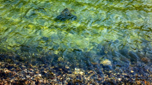 Clear water of Brofjorden 2 photo