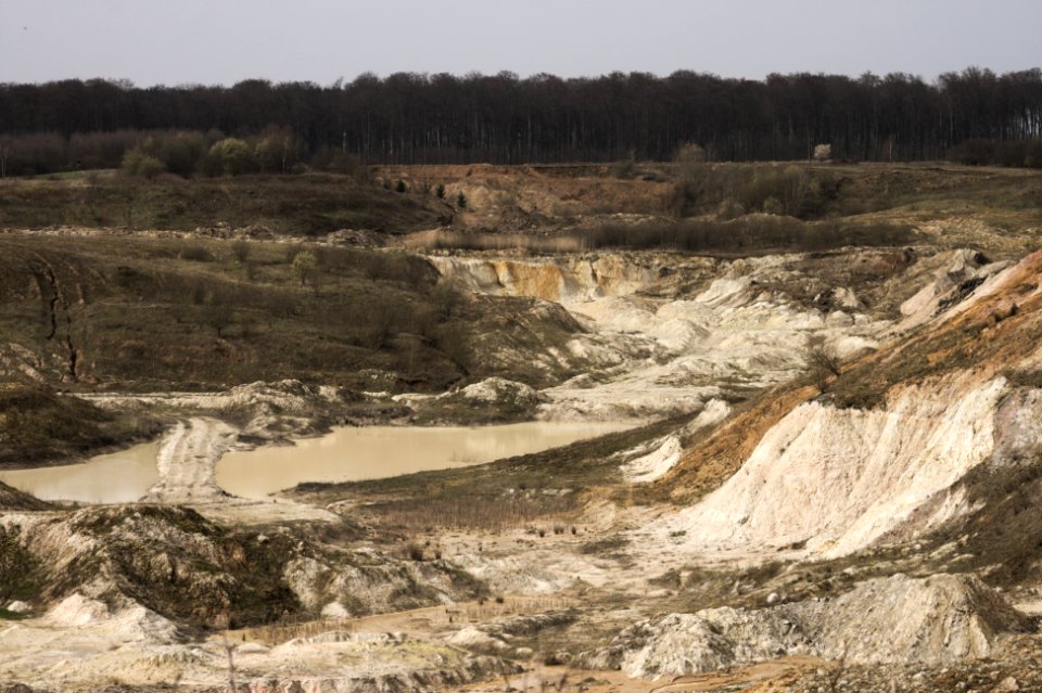 Clay quarry Ötzingen close-up