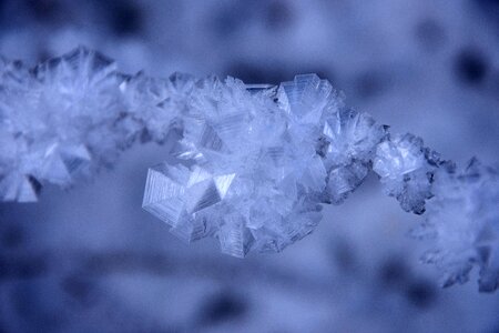 Winter iced crystals photo