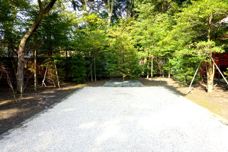 Clearing - Tsurugaoka Hachiman-gū - Kamakura, Kanagawa, Japan - DSC08344