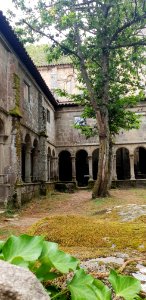 Claustro del monasterio de Santa Cristina de Ribas de Sil