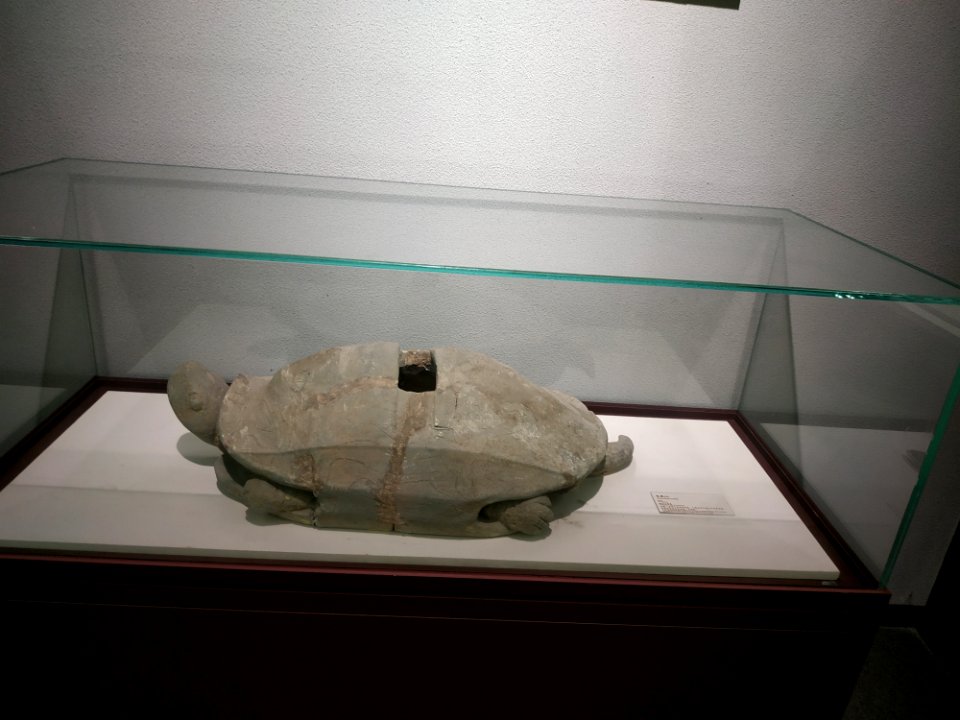 Clay tortoise, Yueyang Museum