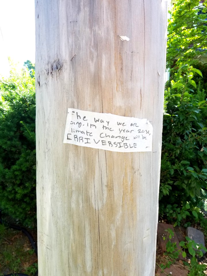 Climate change - Utility pole - Arlington, MA - 20200620 090933