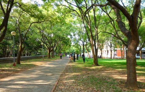 Cleanup - Tunghai University - DSC01781