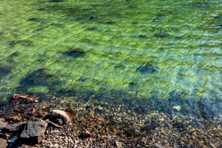 Clear water of Brofjorden 1