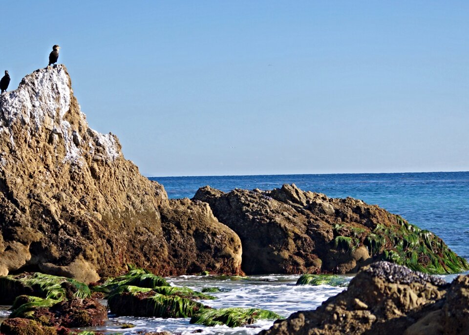 Shore nature coast