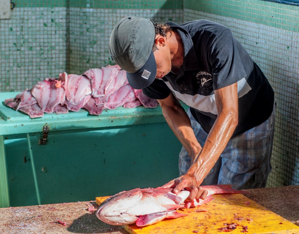 Cleaner fish in Los cocos fish market, Margarita Island