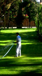 Cleaning Services - Khayyam Garden - Nishapur 2