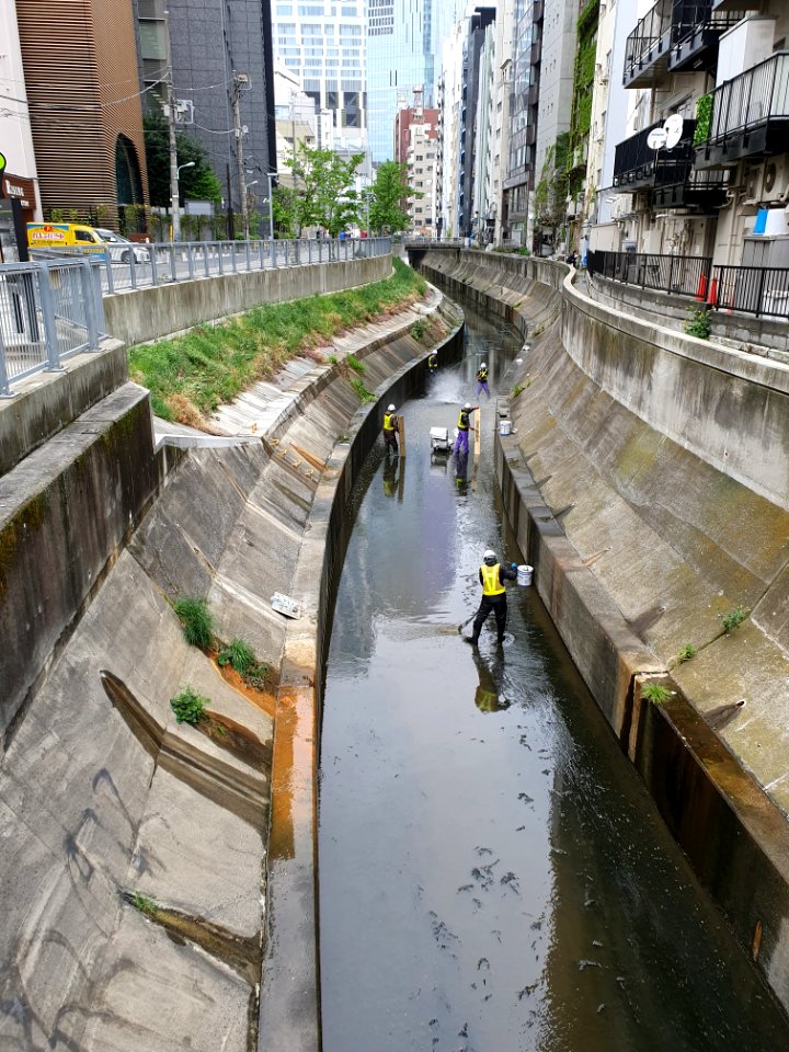 Cleaning of Shibuya River