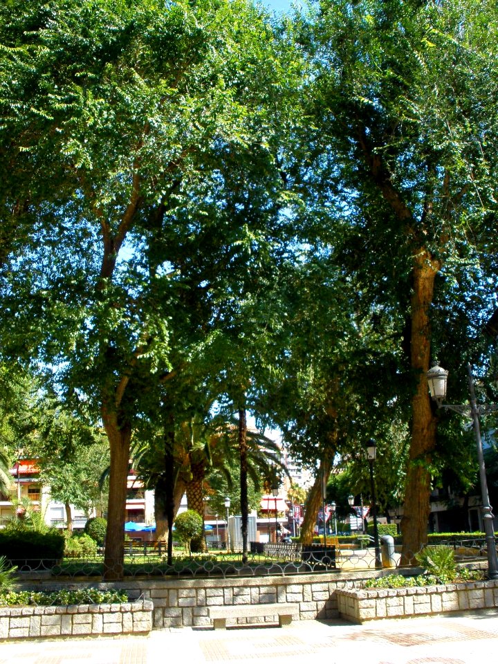 Ciudad Real - Jardines del Prado 02