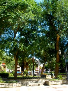 Ciudad Real - Jardines del Prado 02