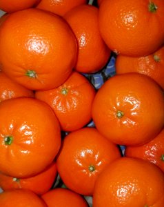 Clementines - Massachusetts