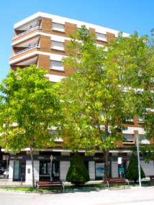 Ciudad Real - Plaza de la Constitución 4