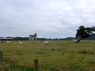 Clairmarais (Pas-de-Calais, Fr) Ancienne abbaye cistercienne PA00108253 (01)