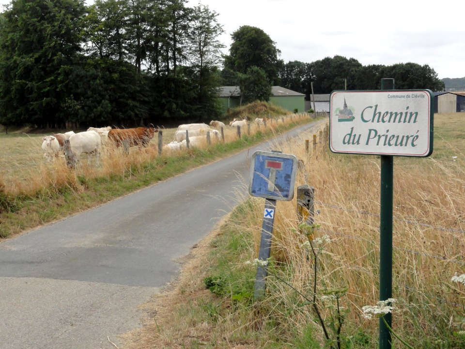 Cléville (Seine-Mar.) chemin du prieuré