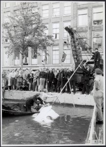 Collectie Fotocollectiie Afdrukken ANEFO Rousel, fotonummer 157-0238, Bestanddeelnr 157-0238