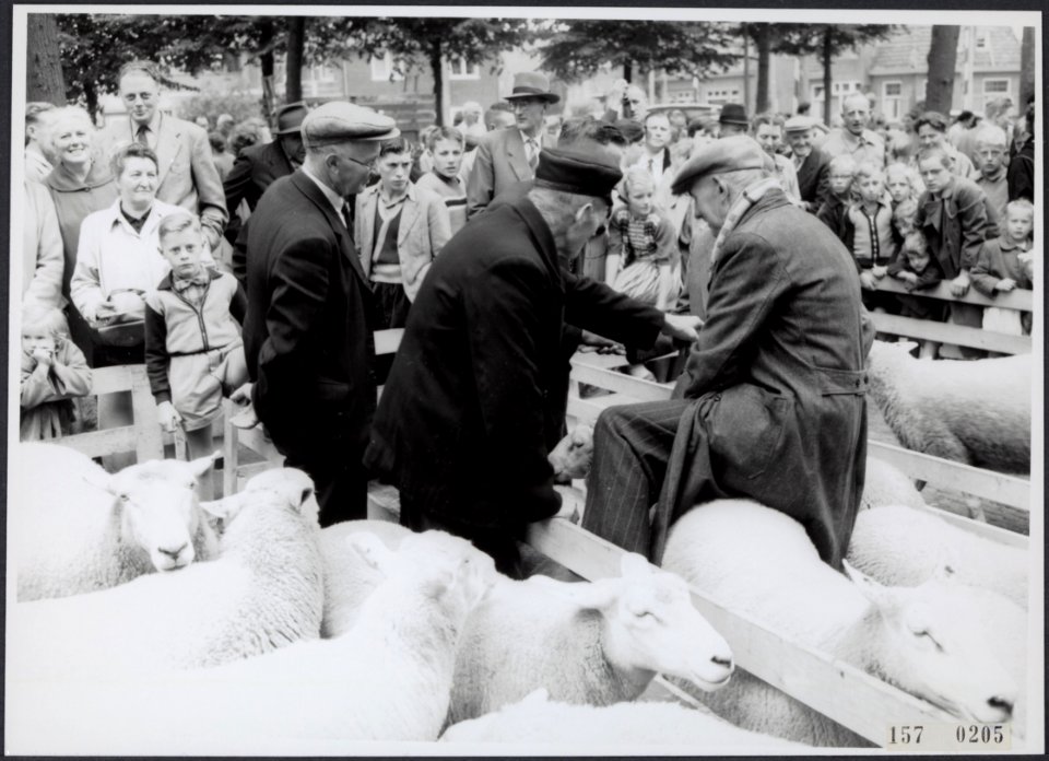Collectie Fotocollectiie Afdrukken ANEFO Rousel, fotonummer 157-0205, Bestanddeelnr 157-0205