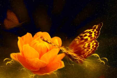 Creative digital art digital painting