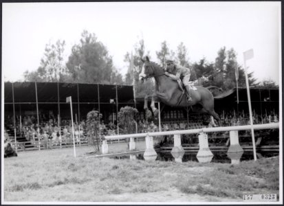 Collectie Fotocollectiie Afdrukken ANEFO Rousel, fotonummer 157-0323, Bestanddeelnr 157-0323