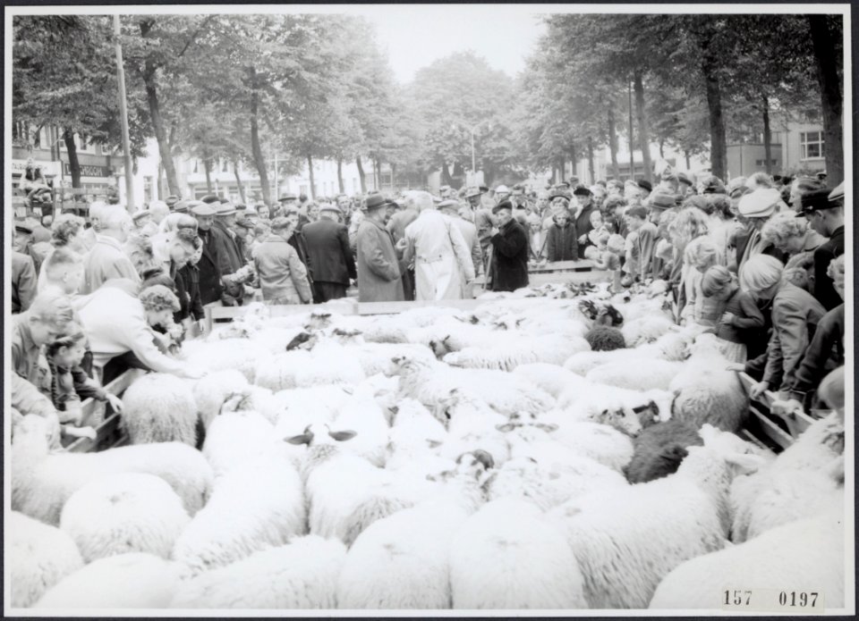 Collectie Fotocollectiie Afdrukken ANEFO Rousel, fotonummer 157-0197, Bestanddeelnr 157-0197