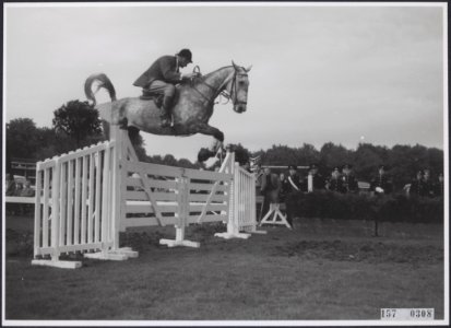 Collectie Fotocollectiie Afdrukken ANEFO Rousel, fotonummer 157-0308, Bestanddeelnr 157-0308