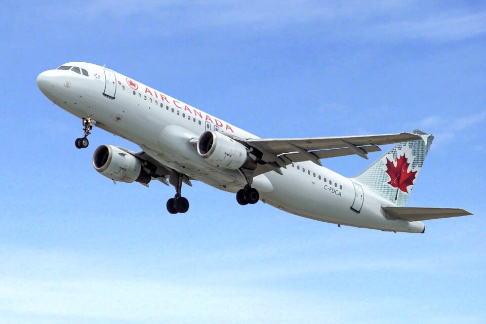 Flight business transportation