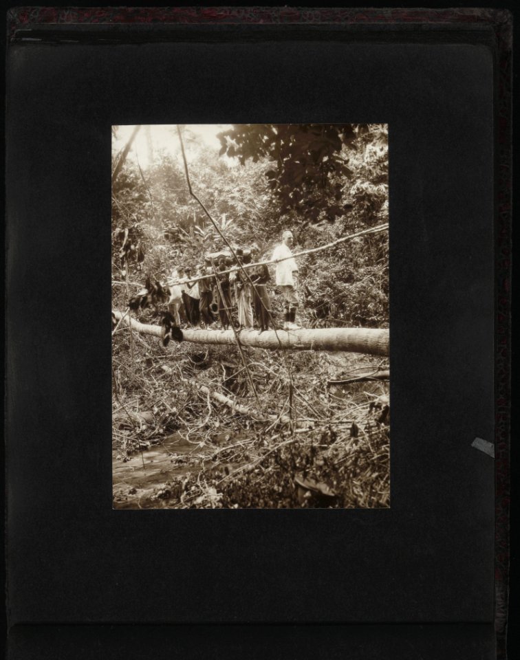 Collectie Fotocollectie Deli Maatschappij, fotonummer 828 37, Bestanddeelnr 828 37