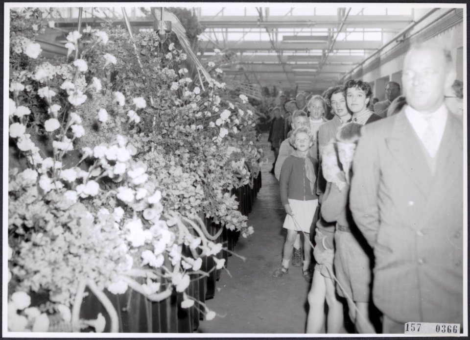 Collectie Fotocollectiie Afdrukken ANEFO Rousel, fotonummer 157-0366, Bestanddeelnr 157-0366