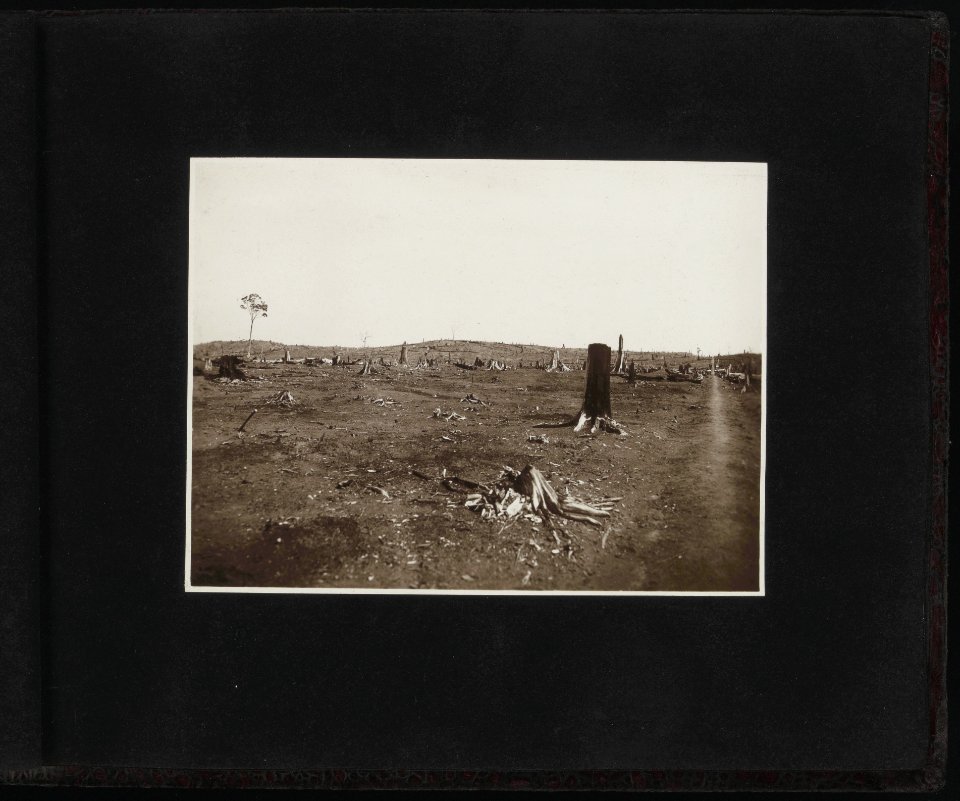 Collectie Fotocollectie Deli Maatschappij, fotonummer 828 23, Bestanddeelnr 828 23