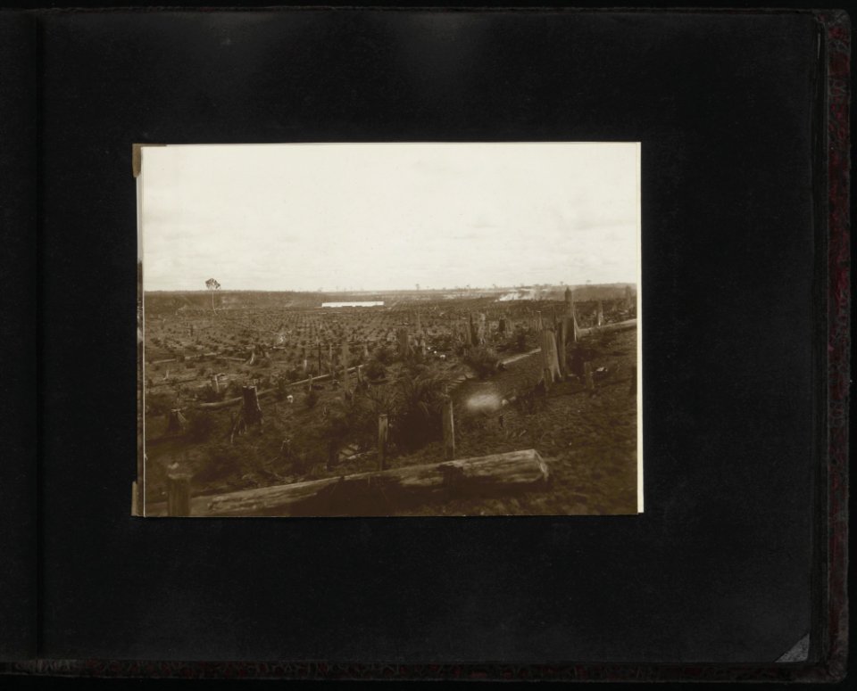 Collectie Fotocollectie Deli Maatschappij, fotonummer 828 83, Bestanddeelnr 828 83