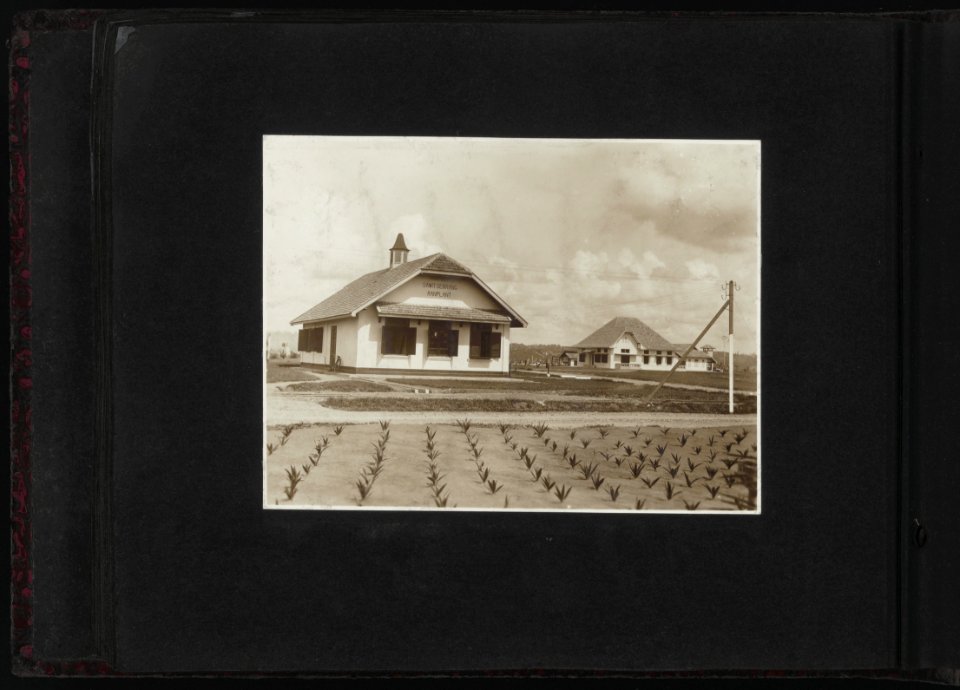 Collectie Fotocollectie Deli Maatschappij, fotonummer 828 88, Bestanddeelnr 828 88
