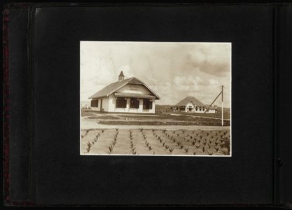 Collectie Fotocollectie Deli Maatschappij, fotonummer 828 88, Bestanddeelnr 828 88