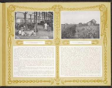 Collectie Fotocollectie Deli Maatschappij, fotonummer 810 15, Bestanddeelnr 810 15