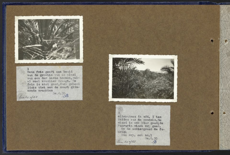 Collectie Fotocollectie Deli Maatschappij, fotonummer 810 25, Bestanddeelnr 810 25