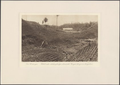 Collectie Fotocollectie Deli Maatschappij, fotonummer 828 76, Bestanddeelnr 828 76