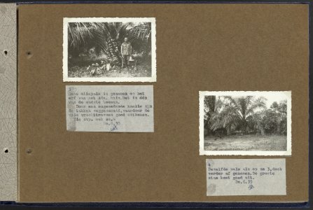 Collectie Fotocollectie Deli Maatschappij, fotonummer 810 26, Bestanddeelnr 810 26