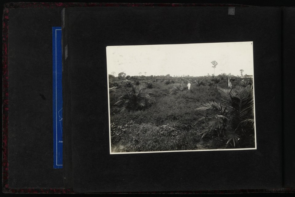 Collectie Fotocollectie Deli Maatschappij, fotonummer 828 14, Bestanddeelnr 828 14