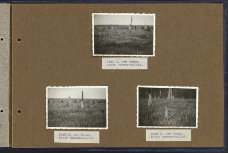 Collectie Fotocollectie Deli Maatschappij, fotonummer 810 38, Bestanddeelnr 810 38