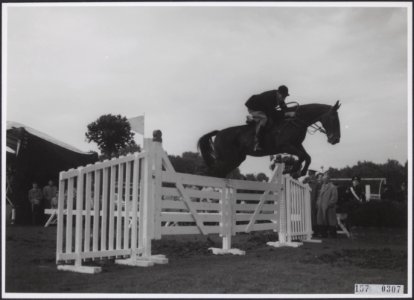Collectie Fotocollectiie Afdrukken ANEFO Rousel, fotonummer 157-0307, Bestanddeelnr 157-0307
