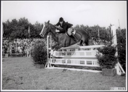 Collectie Fotocollectiie Afdrukken ANEFO Rousel, fotonummer 157-0314, Bestanddeelnr 157-0314